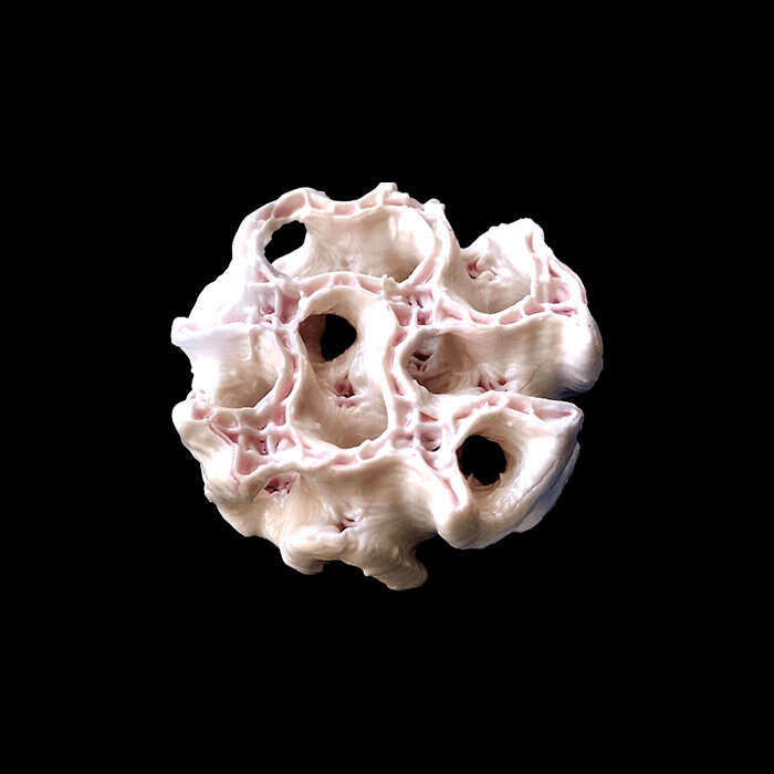 Напечатанная в космосе 3D кость для экстренной медицины